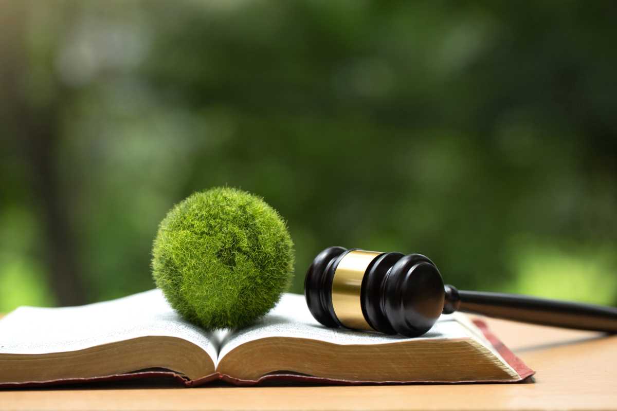 Books Revitalizing Climate Change Awareness